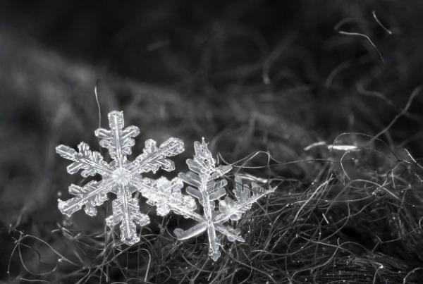 2 snowflakes on gray 610x410