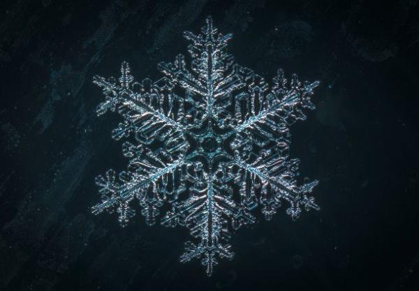 snowflake 4 610x424