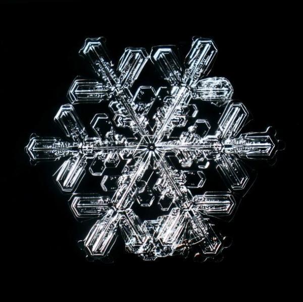 snowflake c 610x609