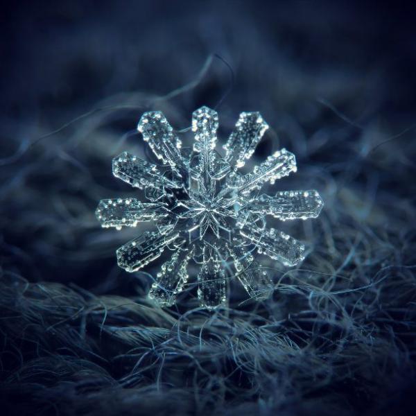 snowflake h 610x610