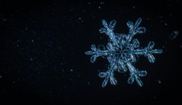 snowflake on black 610x351