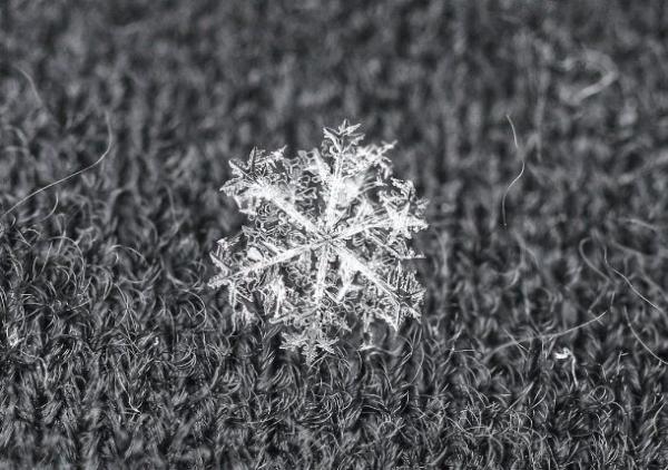 snowflake on grey 610x430
