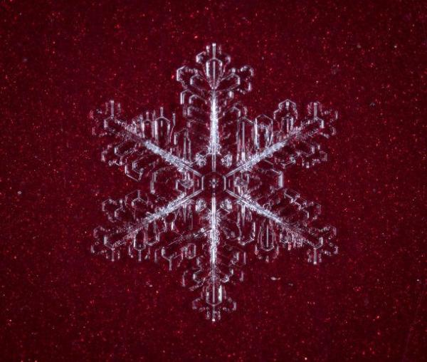 snowflake red background 610x517