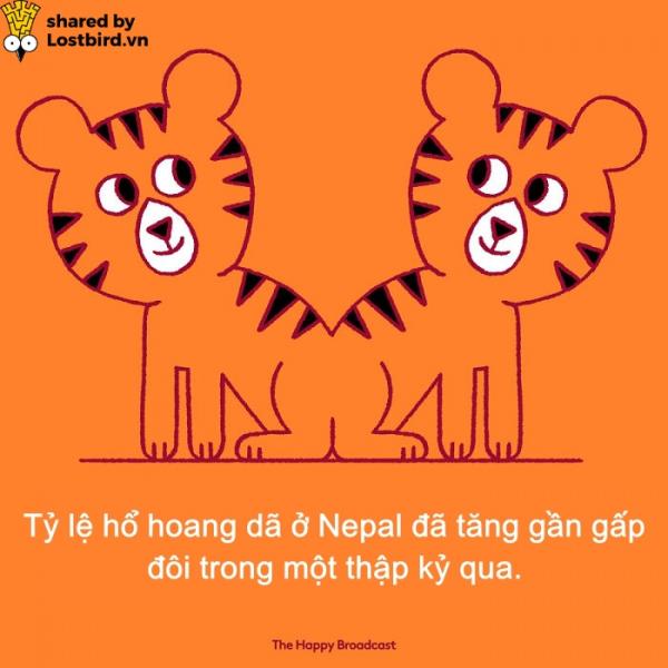 tigers nepal 5c1a986497b68 png 700