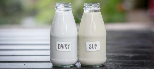 dairy milk vs soy milk 1390x690