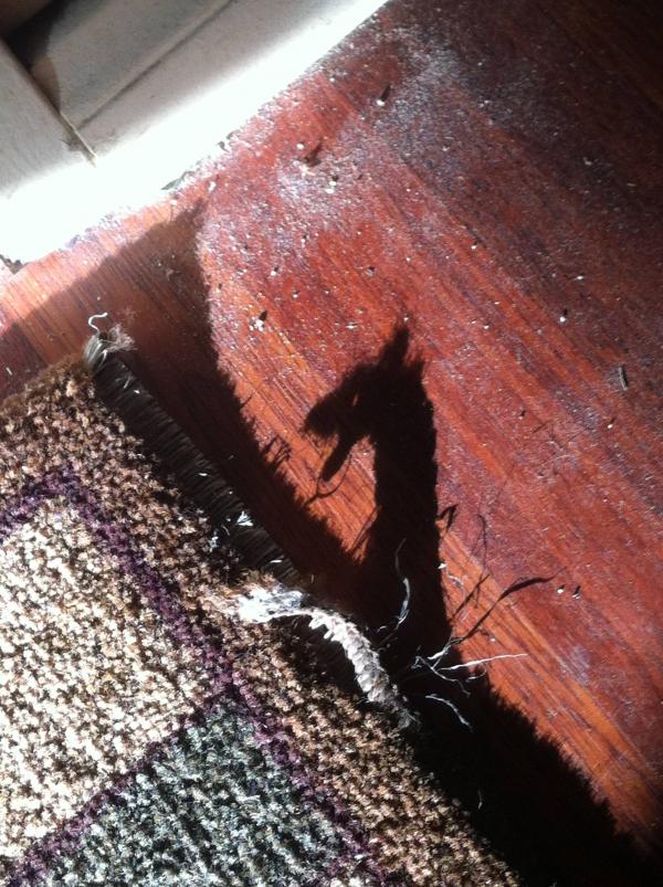 carpet shadow