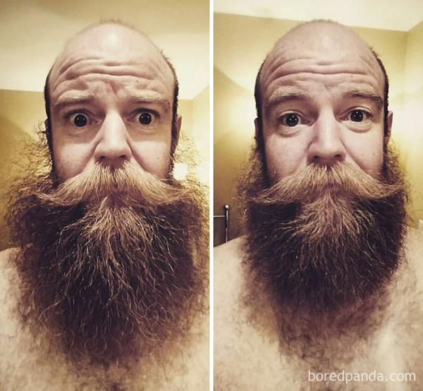before after beard transformations 17 5c3f42d38f59e 700