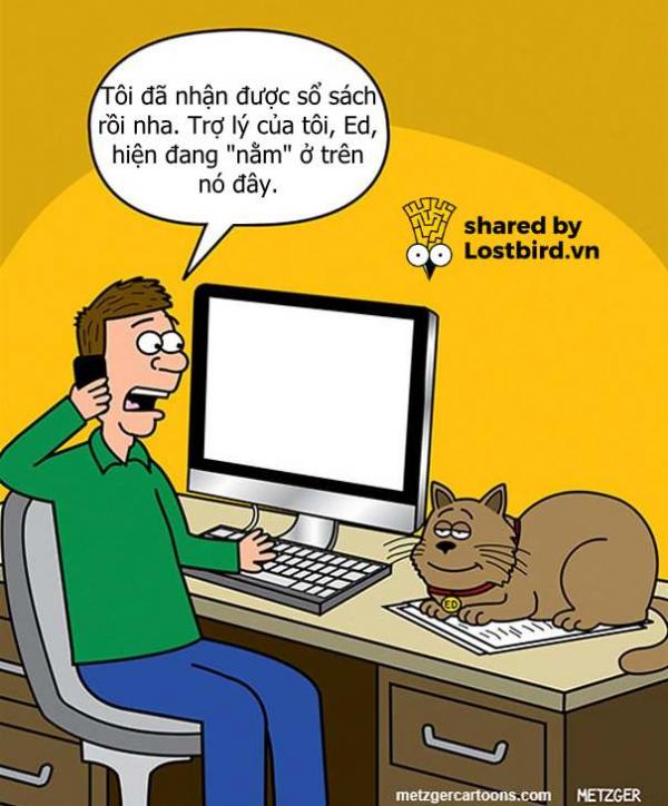funny cat comics scott metzger cartoons 47 5b0eb1e2c6dd8 605