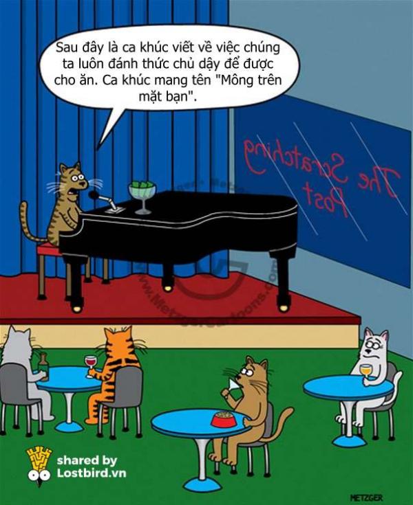 funny cat comics scott metzger cartoons 5 5b0eb17f5cbad 605