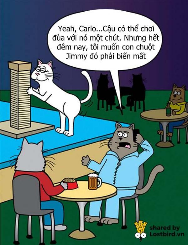 funny cat comics scott metzger cartoons 50 5b0eb1eac75f7 605