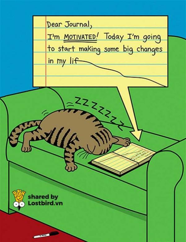 funny cat comics scott metzger cartoons 56 5b0eb1fbbf4bd 605 1