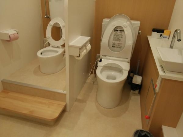 japan toilet