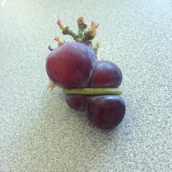 weird grapes