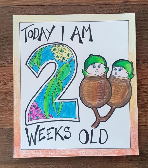 my husband wanted something a bit different for our childrens milestone cards 5c6fbdbb06acb 880