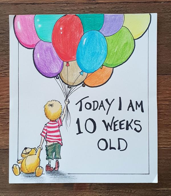 my husband wanted something a bit different for our childrens milestone cards 5c6fbfc2d9dcc 880