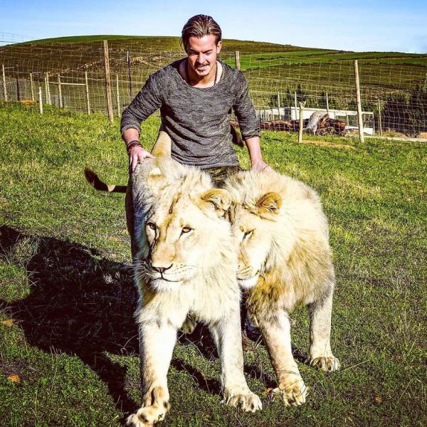this guy from switzerland left a prestigious job sold all his things and moved to africa to rescue mutilated animals 5c819ecdedc9d 880