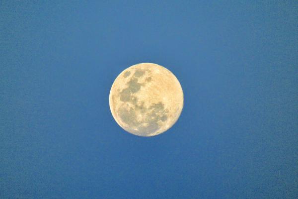 Hình ảnh Siêu Mặt Trăng chiều 20/03 tại TP.HCM. Trăng tròn xuất hiện từ chiều và tỏa sáng cả đêm trên bầu trời, tạo thuận lợi cho bất cứ ai muốn quan sát. Ảnh: Tuấn Anh.