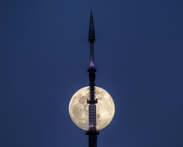 Trăng tròn xuất hiện phía sau tháp anten trên đỉnh Tòa nhà Thương mại One World ở New York, Mỹ. Siêu Mặt Trăng tiếp theo sẽ diễn ra vào 09/03/2020, năm 2020 cũng có 3 lần Siêu Trăng. Ảnh: AP Photo/J. David Ake.