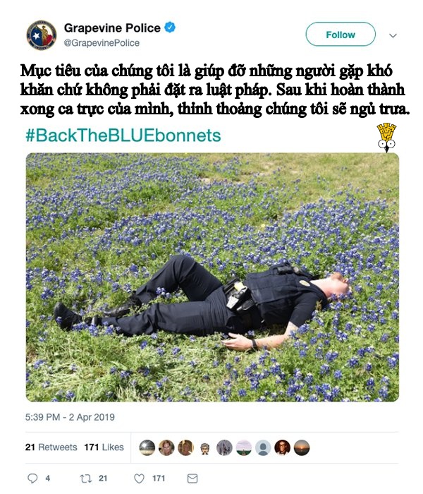 hilarious new challenge has texas police posing with bluebonnets and we love it 29 photos 17