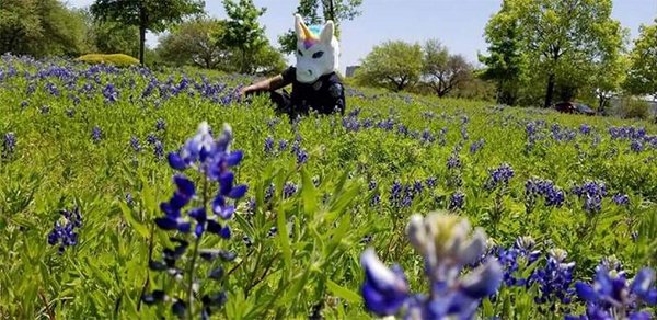 hilarious new challenge has texas police posing with bluebonnets and we love it 29 photos 25 1