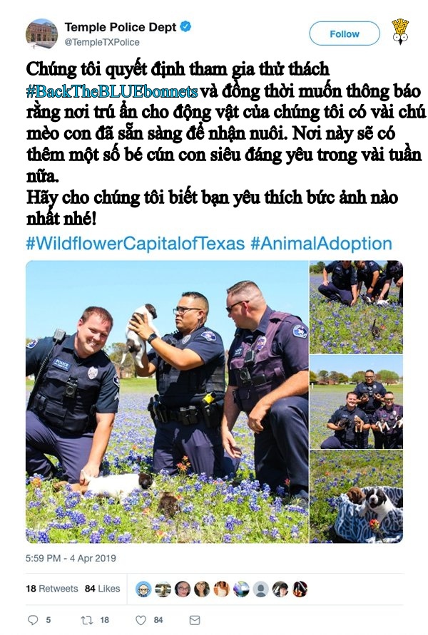 hilarious new challenge has texas police posing with bluebonnets and we love it 29 photos 9 1