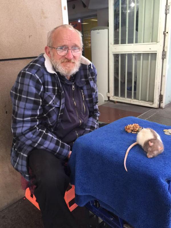 homeless man chris pet rat stolen sydney 3 5caf452a366ab 700