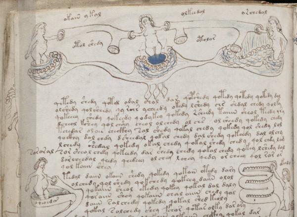 illustrations of women bathing in the voynich manuscript