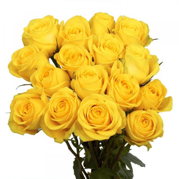 globalrose flower bouquets 50 yellow roses short 64 1000