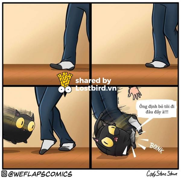 funny cat comics weflaps 52 5ce40848091c2 880