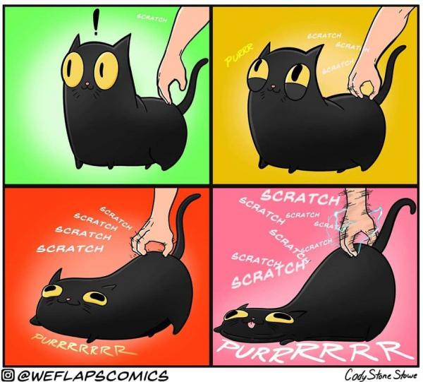 funny cat comics weflaps 56 5ce408511f7be 880