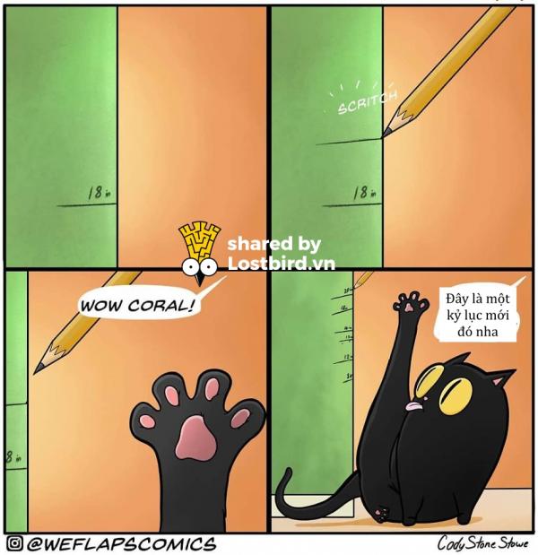 funny cat comics weflaps 58 5ce4085710e6a 880