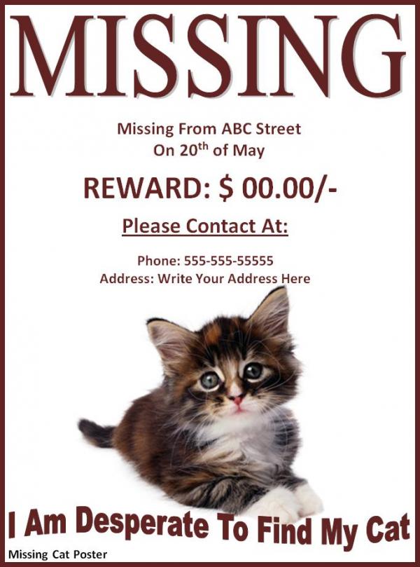 missing pet poster template