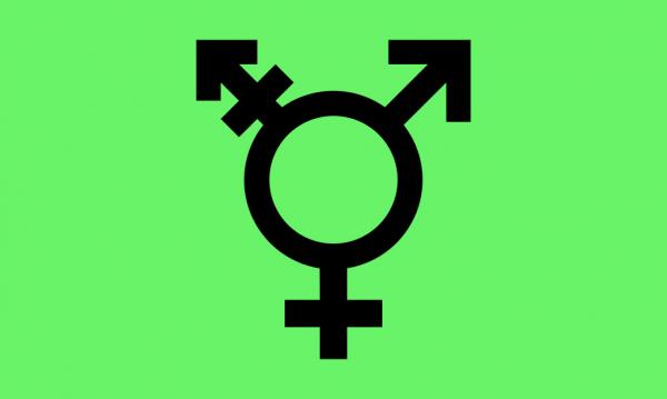 1024px israeli transgender flag svg