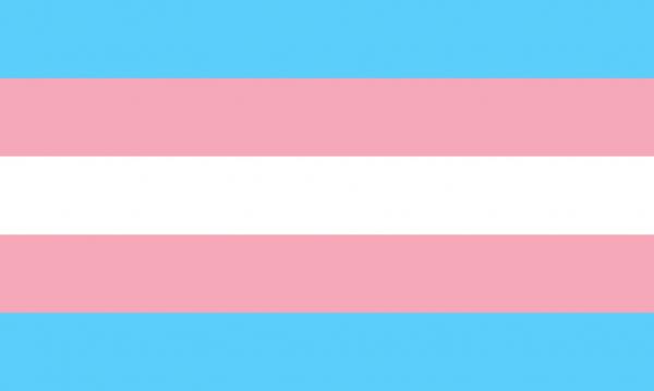 1024px transgender pride flag svg
