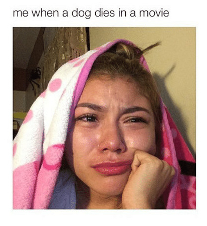 me when a dog dies in a movie gn 235951