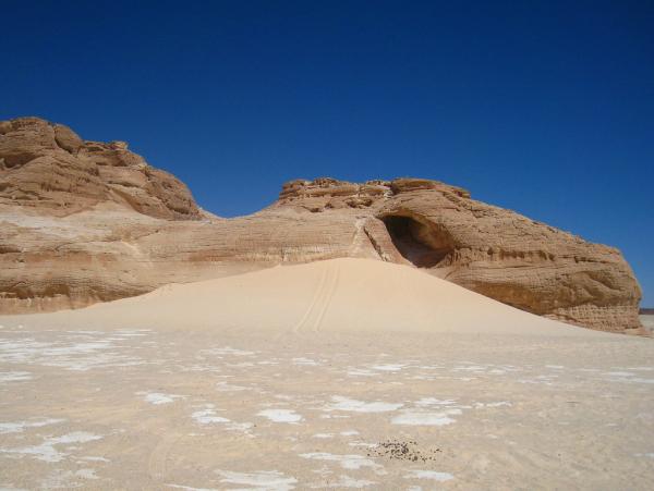 the sinai desert