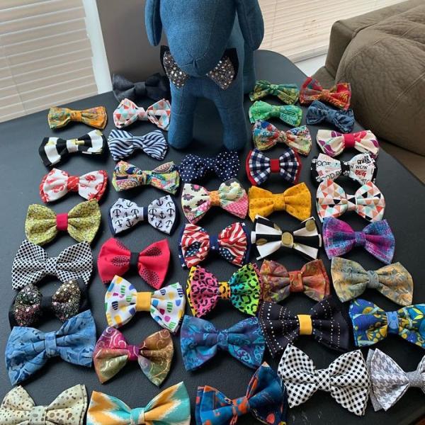 this 12 year old boy sews neckwear for shelter puppies to make them look better in photos so they can be adopted faster 5d0cb0ebb76a6 700