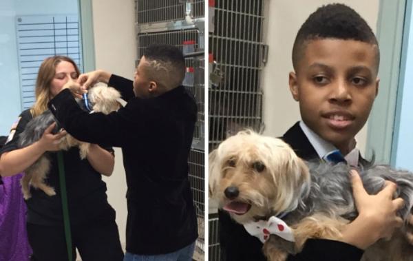 this 12 year old boy sews neckwear for shelter puppies to make them look better in photos so they can be adopted faster 5d0cb0f855019 700 1