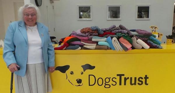 elderly woman knits 450 blankets shelter dog dogs trust 1 5d13842382d82 700