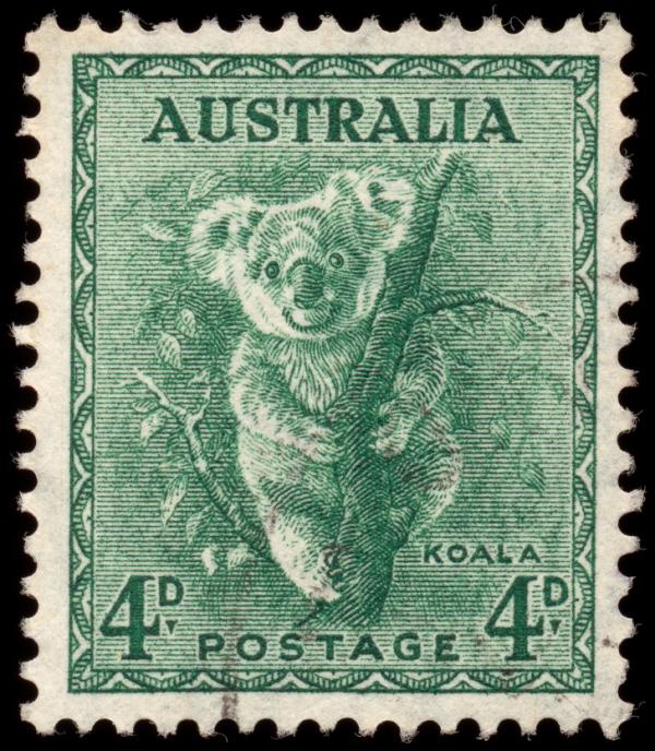 13539260 stockvault green koala stamp140333 1558701405 728 6236cc713f 1561535504