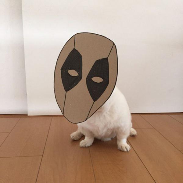 dog costume cardboard cutouts myouonnin 17 580f540d1784b 605