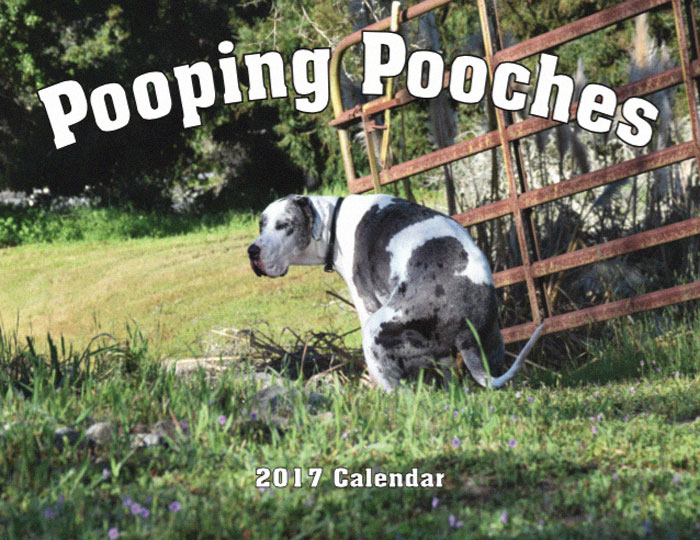 pooping pooches dog calendar 5ba2025993366 700