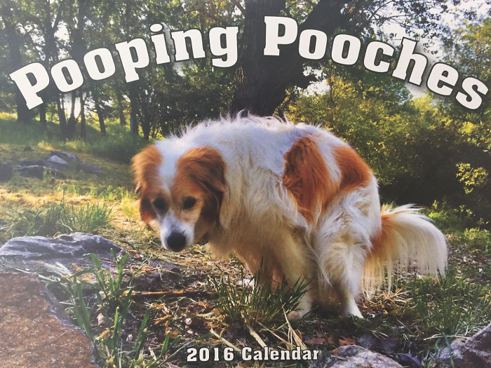 pooping pooches dog calendar 5ba202625e565 700