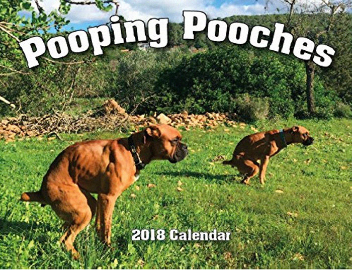 pooping pooches dog calendar 5ba202a6f37af 700