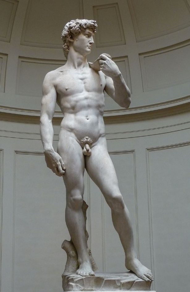 statue of david galleria dellaccademia florence