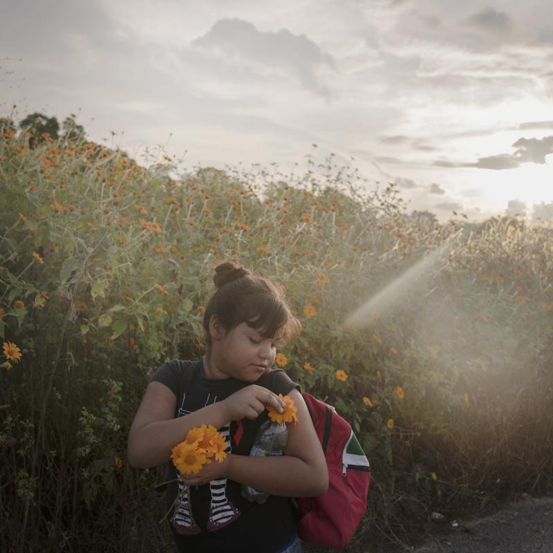 Một bé gái dừng lại ở ven đường rồi hái những bông hoa khi trời dần tối tại Niltepec, cô bé đã đi bộ gần 50 km từ Tapanatepec trong ngày hôm nay.