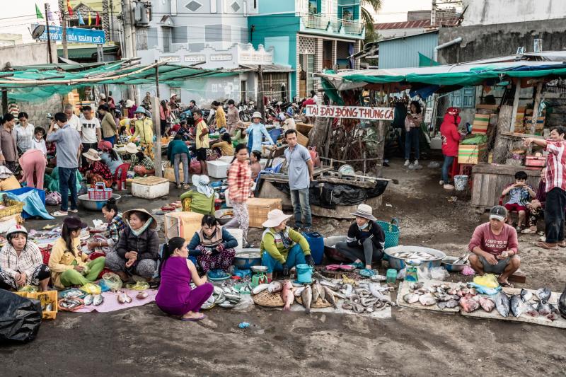 Chợ cá Đầm Nại, nơi bạn có thể tìm thấy bất cứ loài thủy hải sản nào và có lẽ nó cũng là chợ cá đa dạng thể loại nhất ở Việt Nam.