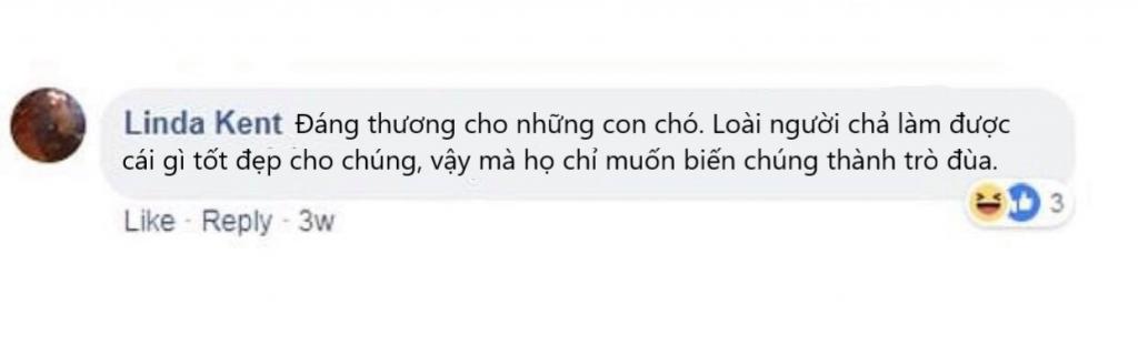 Phun nhũ lấp lánh vào 'cặp bi' của thú cưng - Trào lưu gây phẫn nộ cho những người yêu động vật Phun nhũ lấp lánh vào 'cặp bi' của thú cưng - Trào lưu gây phẫn nộ cho những người yêu động vật