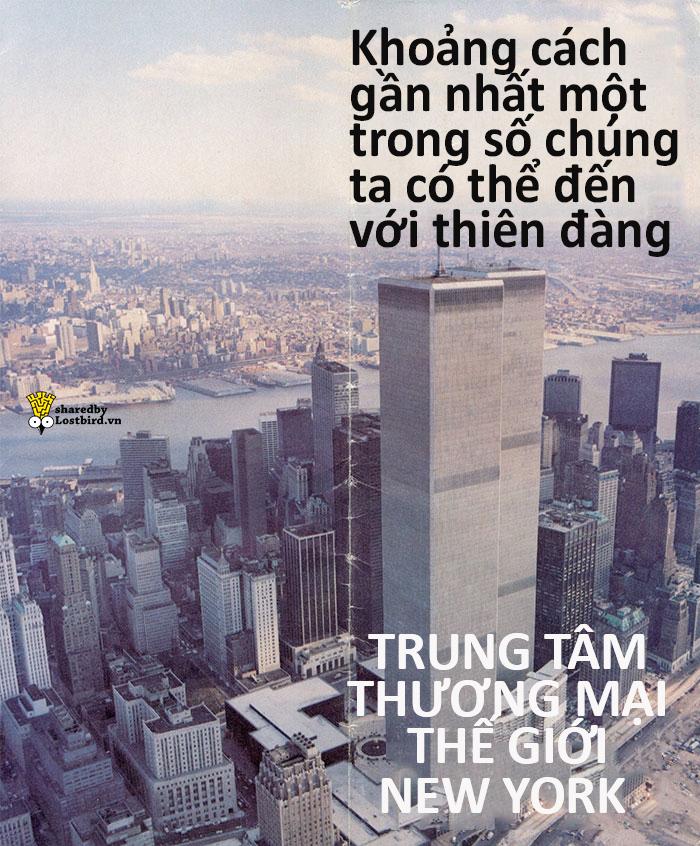 Những người bị nghiệp quật bởi chính câu nói của mình năm xưa: Đến Tổng thống Trump cũng là nạn nhân Những người bị nghiệp quật bởi chính câu nói của mình năm xưa: Đến Tổng thống Trump cũng là nạn nhân