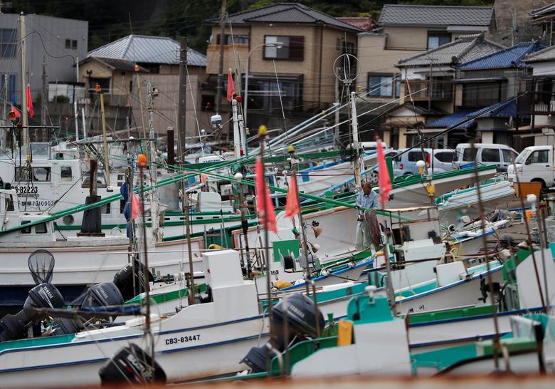 Tàu thuyền neo đậu ở bờ sau một chuyến đánh bắt cá voi xa bờ tại làng chài Minamiboso.